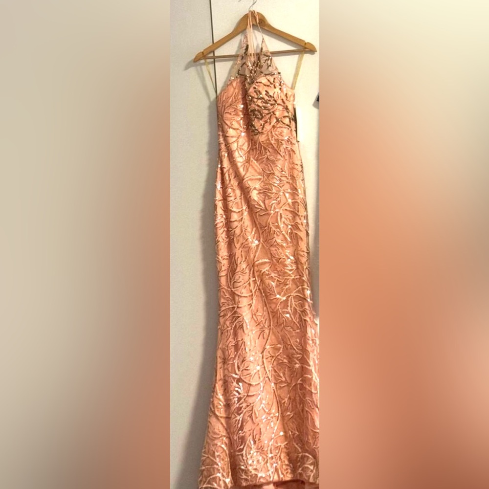 Elegant Peach Dress